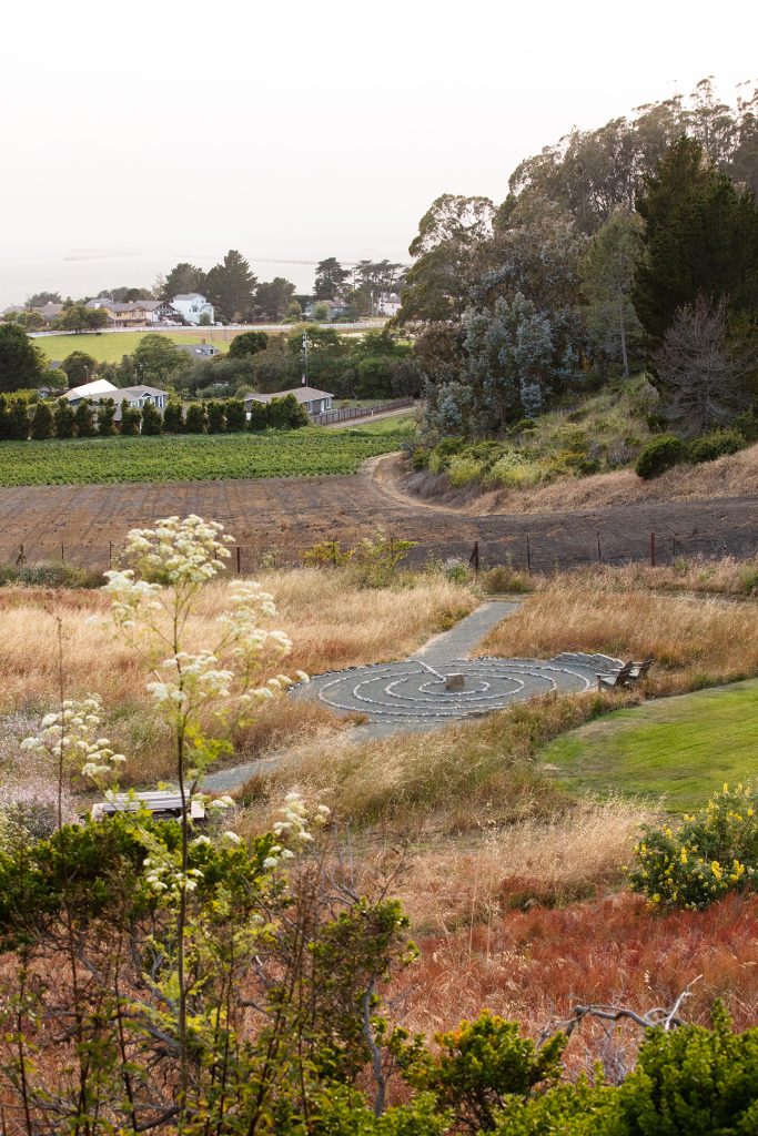The labyrinth at Miramar Farms