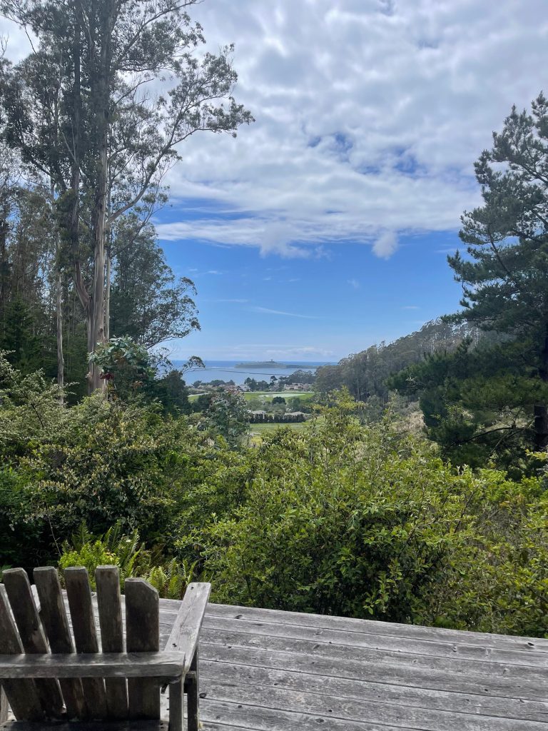 Mavericks Vista, a breakout space that overlooks the famous Mavericks surf break